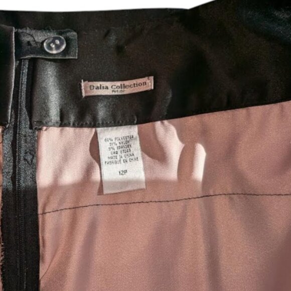 NWT Dalia Collection Lace Skirt Size 12P. - Picture 4 of 6